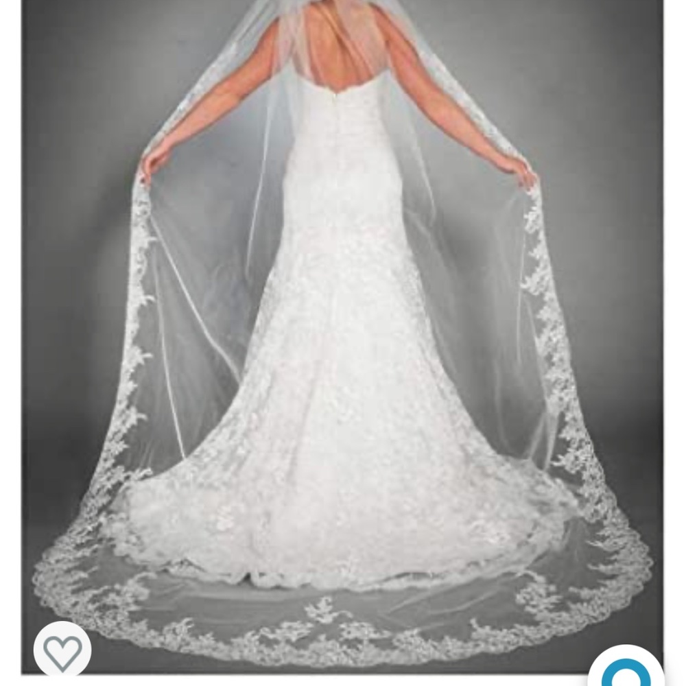 Cathedral length veil